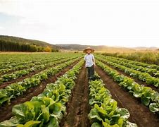 Image result for What Is Farming