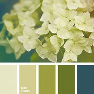 Image result for Olive Green Shades