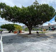 Image result for Nuevo Parque Central Tapachula Chiapas