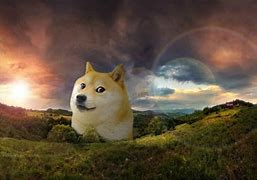 Image result for Funny Doge Meme Wallpaper