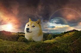 Image result for Doge Meme Desktop Wallpaper