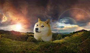 Image result for Doge Meme Wallpaper