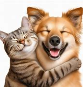 Image result for Smiling Cat and Dog Pictures