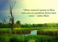 Image result for Find Peace in Nature Quotes