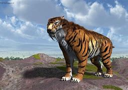 Image result for Sabertooth Tiger Prey