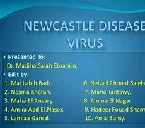 Image result for Newcastle Virus