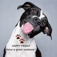 Image result for Happy Friday Cute Animals