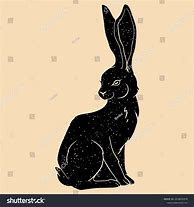 Image result for Black-eared Hare