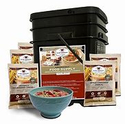 Image result for Wise Survival Food