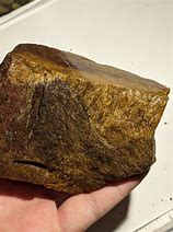 Image result for Dinosaur Bone Jasper