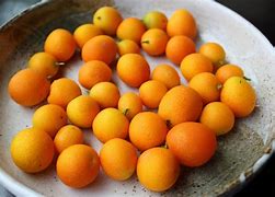 Image result for Kumquat Coconut Drink