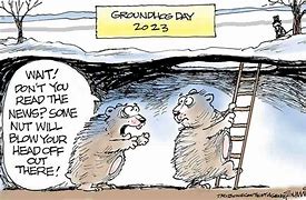 Image result for Hoy Hoy Cartoon