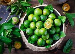 Image result for Green Kumquat