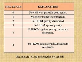 Image result for MMT Testing