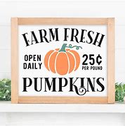 Image result for Pumpkin SVG Free