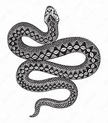 Image result for Snake Black and White Photography