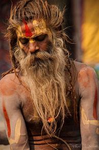 Image result for Sadhu Himalaya