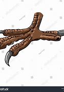 Image result for Pigeon Talons