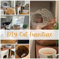 Image result for DIY Cat Furniture