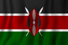 Image result for Kenyan Dflag