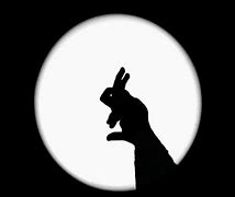 Image result for Rabbids Shadow On Moon