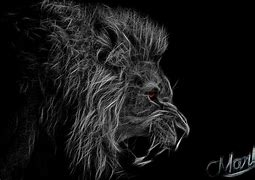 Image result for Lion Wallpaper Black and White