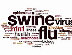 Image result for H1N1 Invade