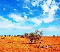 Image result for Australian Country Scenes