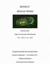 Image result for Poster Demam Tifoid