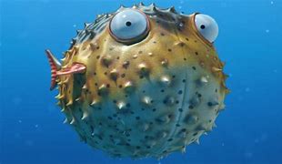 Image result for A Blowfish