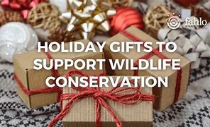 Image result for Wildlife Conservation Gifts