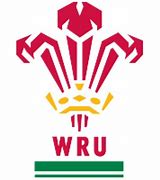 Image result for Welsh Rugby Union Logo