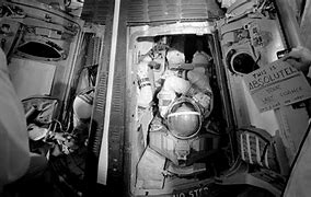 Image result for Gemini Capsule Center of Mass