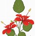 Image result for Plant Drawing