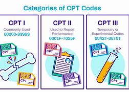 Image result for CPT Codes Look Like