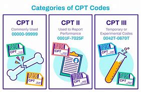 Image result for CPT Code Book