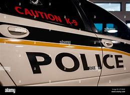 Image result for K9 Police Car