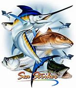 Image result for Terminal Tackle Product