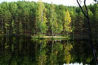 Image result for Russia Forest Map