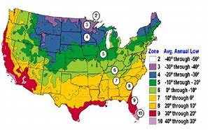 Image result for Flower Zones