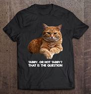 Image result for Orange Tabby Cat Memes