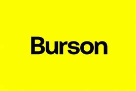 Image result for Burson Health Company Logo