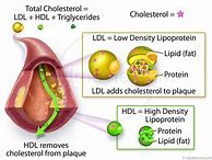 Image result for Low-Density Cholesterol Foods