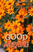 Image result for Good Morning Marigold Flowers