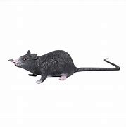 Image result for Fake PC Mouse