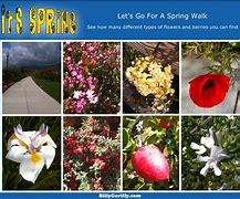 Image result for Flowers Walking with Feet