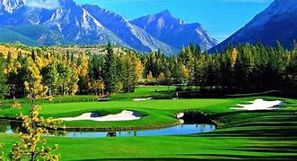 Image result for Wildlife On Banff Golf Course