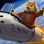 Image result for Doge Sad Aviation