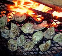 Image result for Oyster Roast