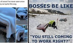 Image result for Buffalo Snow Memes